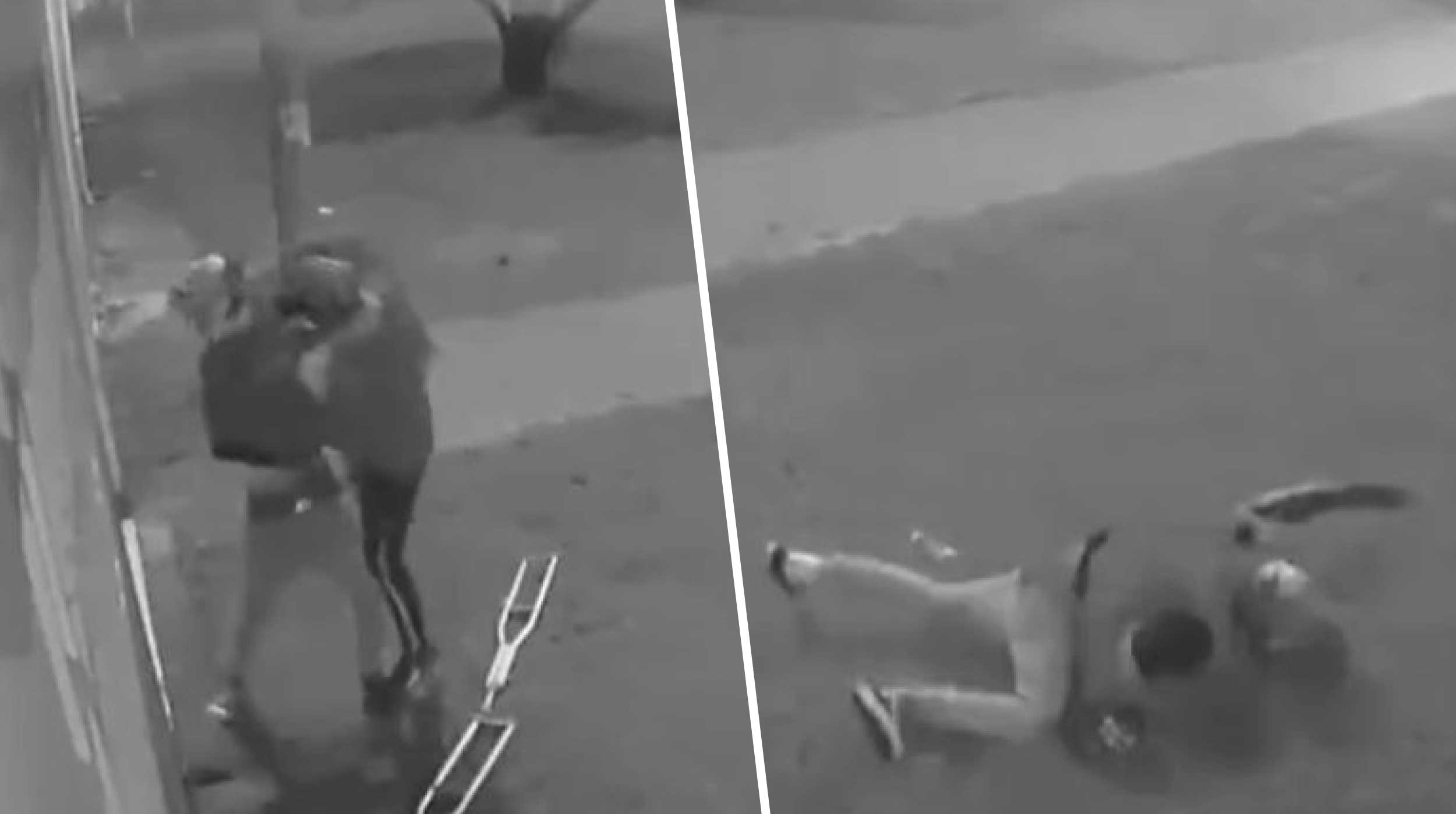 Video: Mata a su amigo de 21 puñaladas por un encendedor