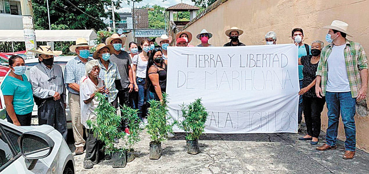 Solicitan sembrar marihuana en Tetecala Diario