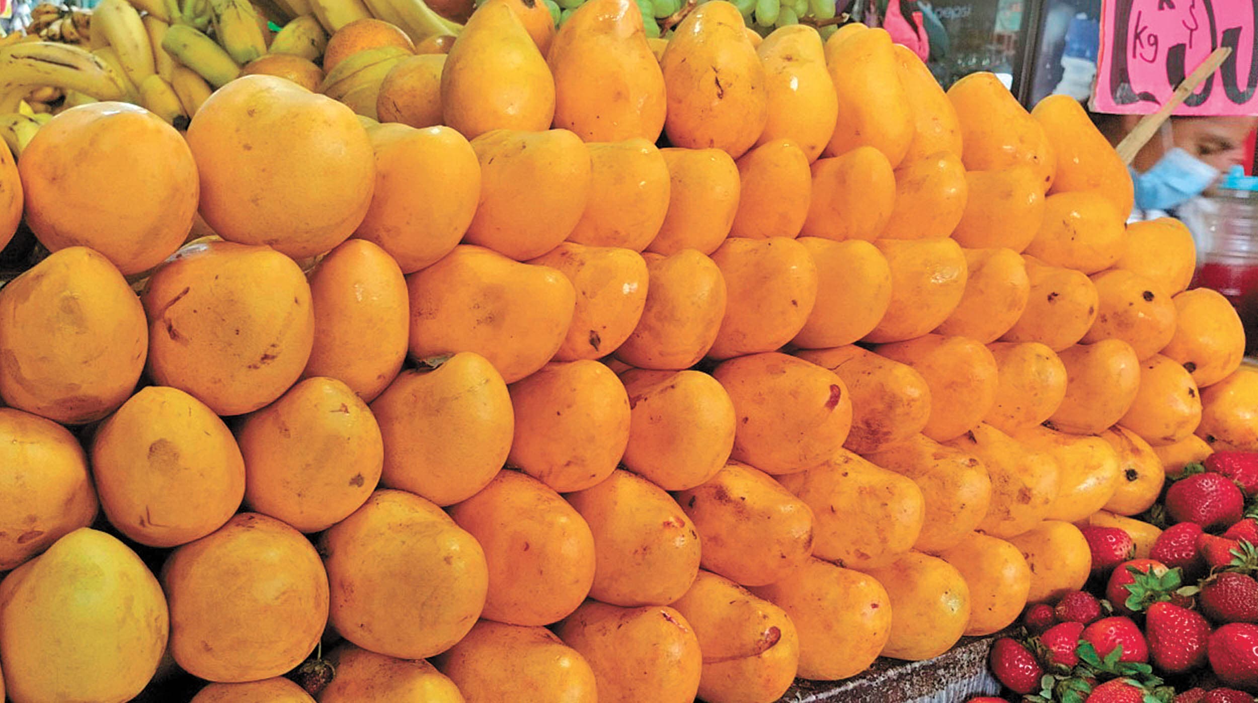 Comienza la temporada de mangos Noticias Diario de Morelos