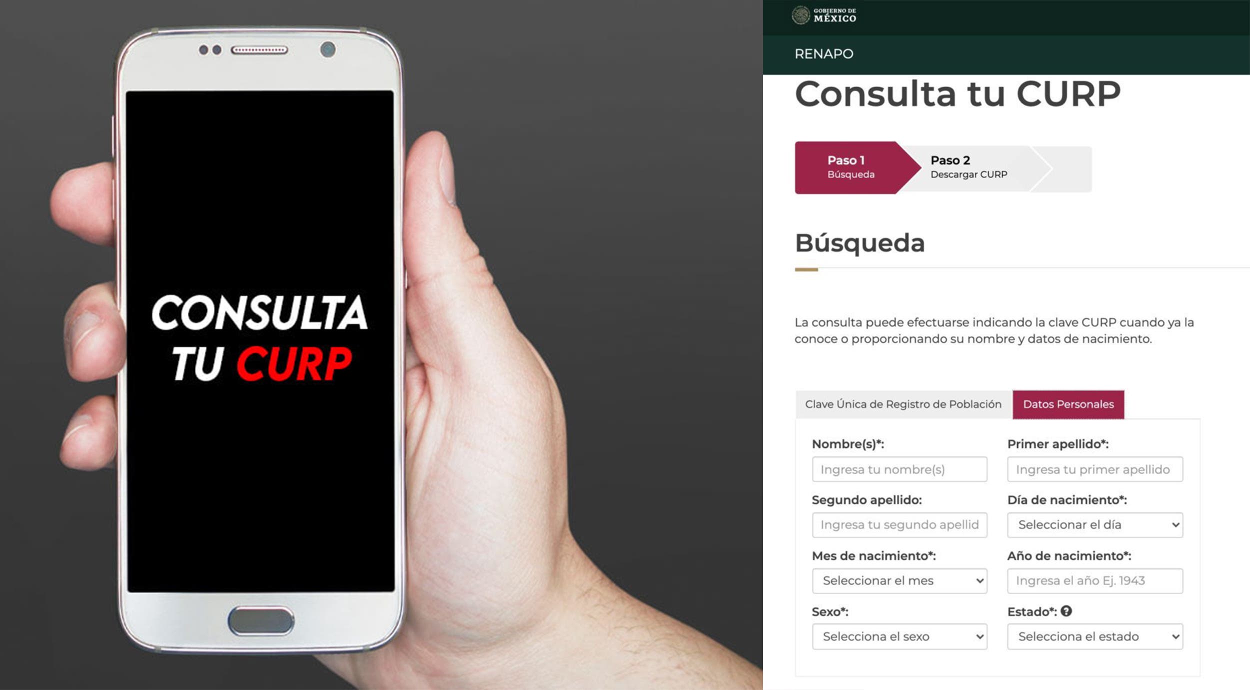 ¿Cómo consultar mi CURP desde el celular? | Noticias | Diario de Morelos