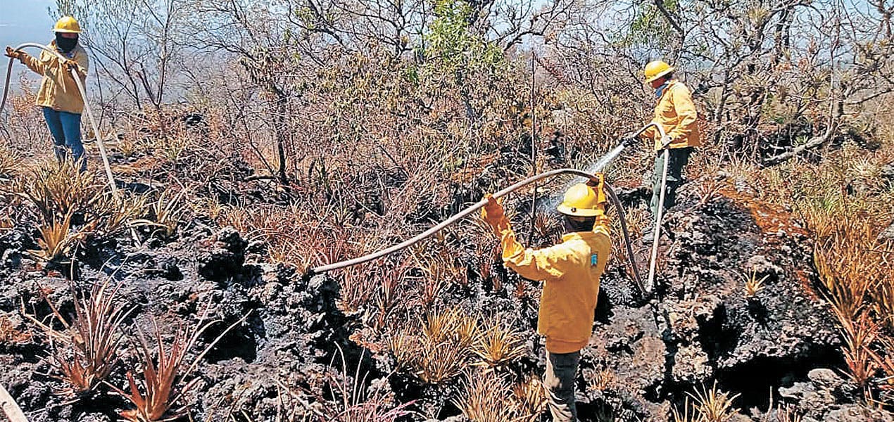 Arrecian incendios en zonas naturales protegidas de Morelos