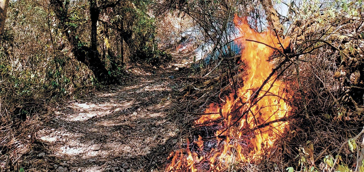 Pide sociedad a Federación recursos vs incendios en Morelos