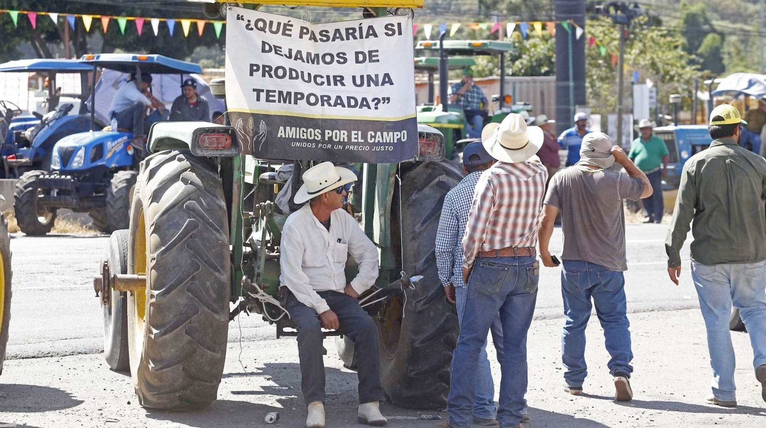 Crisis del maíz en México: el reclamo agrícola que impacta a todo el país |  Diario de Morelos - Noticias |