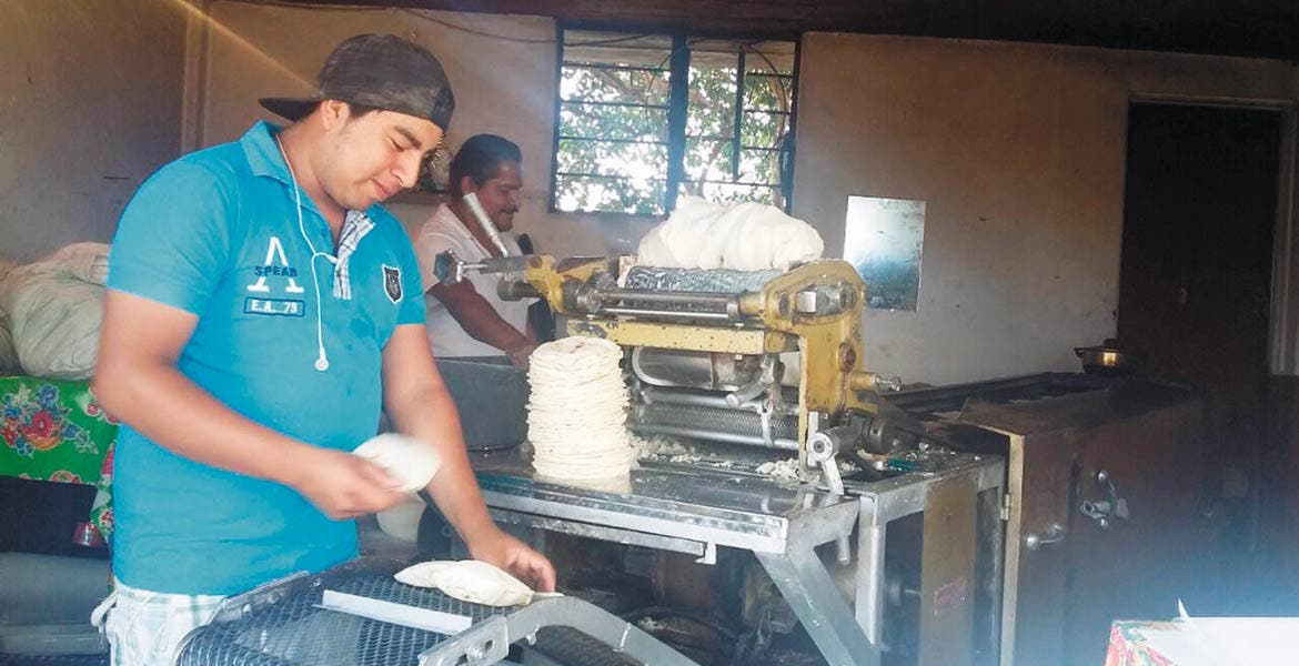 Piden regular tortillerías Noticias Diario de Morelos