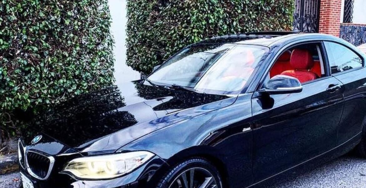Le roban un BMW a hermano de la diputada Alejandra Flores Espinosa - Vimarsana News
