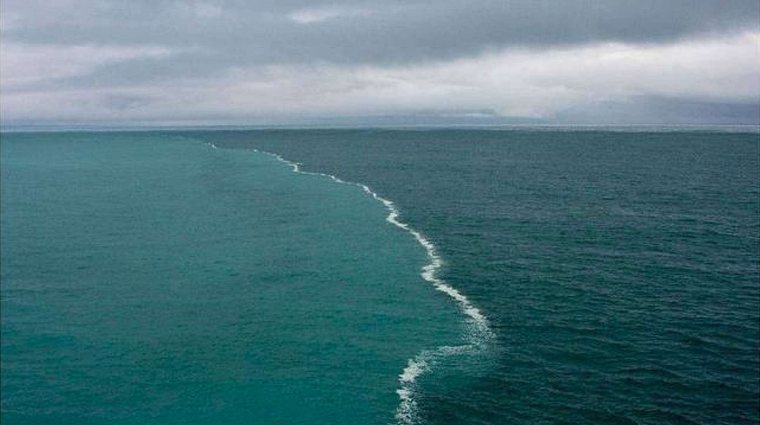 Cambio en los ecosistemas marinos hace cambiar el color azul del océano a verde 