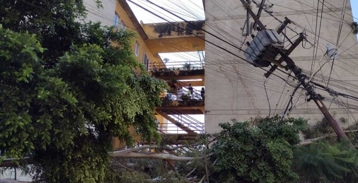 Caída de árbol deja sin luz a 660 familias en Ciudad Chapultepec, Cuernavaca - Vimarsana News