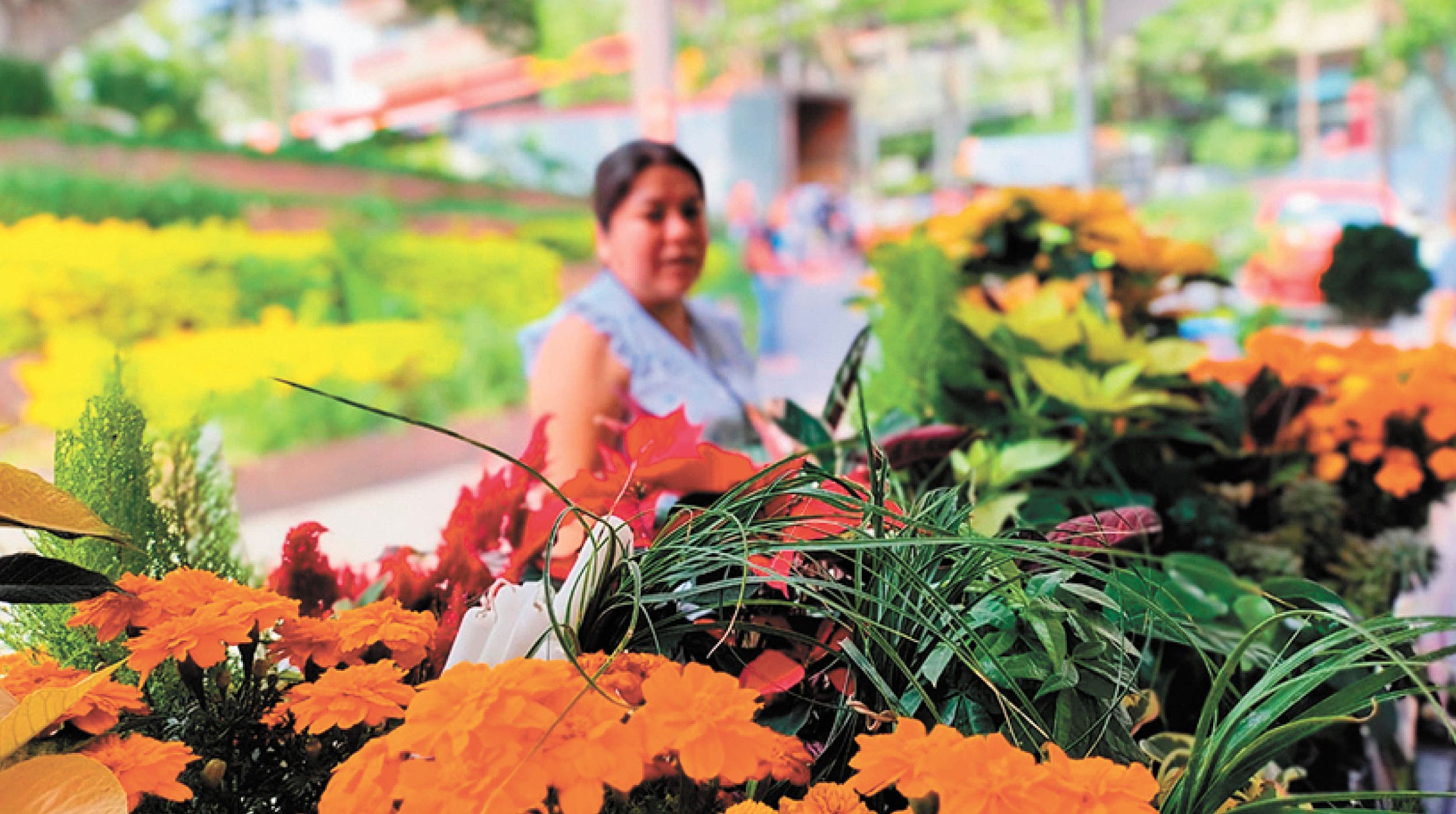 Ofrecen riqueza del campo productores agropecuarios | Noticias | Diario de  Morelos