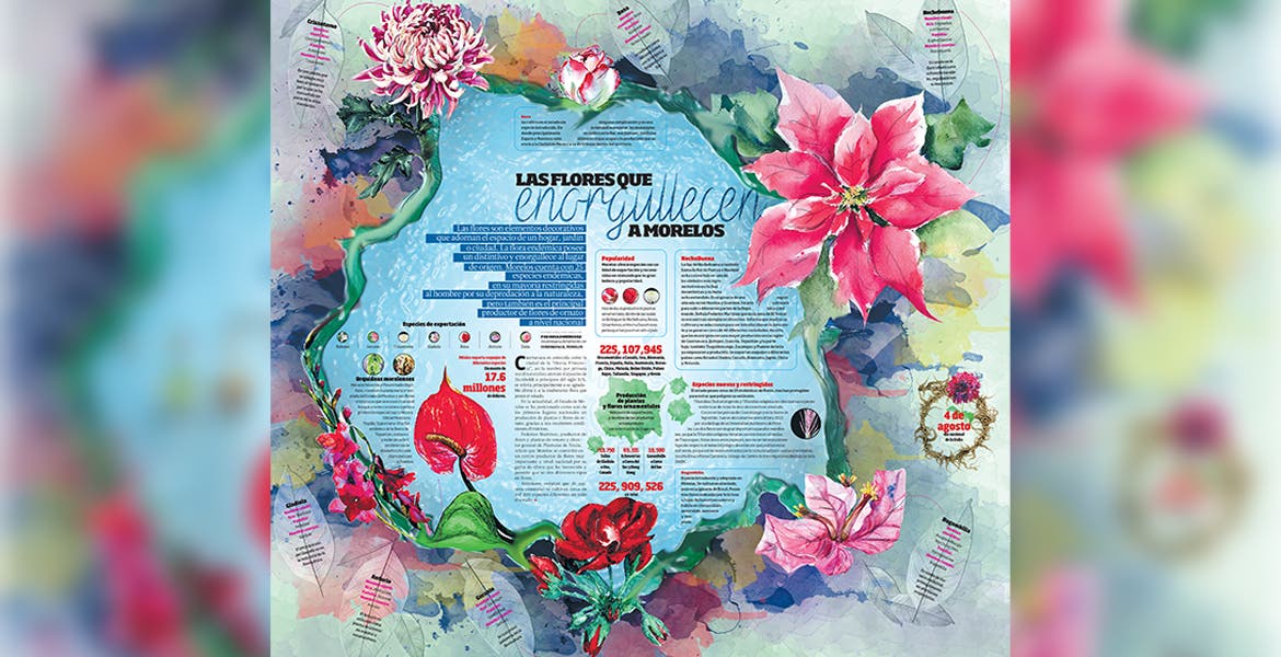 Flores que enorgullecen a Morelos | Noticias | Diario de Morelos