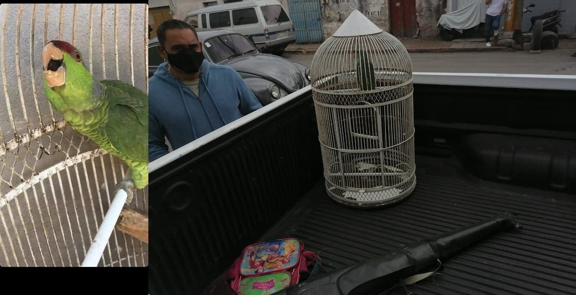 Jojutla Morelos - Ladrones cargan hasta con el perico de un restaurante 