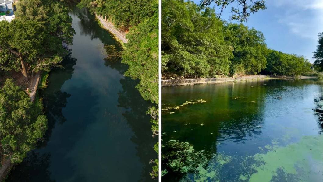 Parque Barranca de Chapultepec