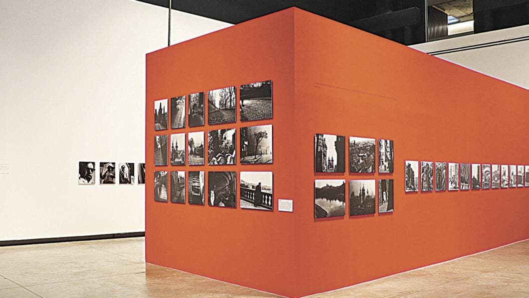 Prepara Museo Juan Soriano exposición en línea