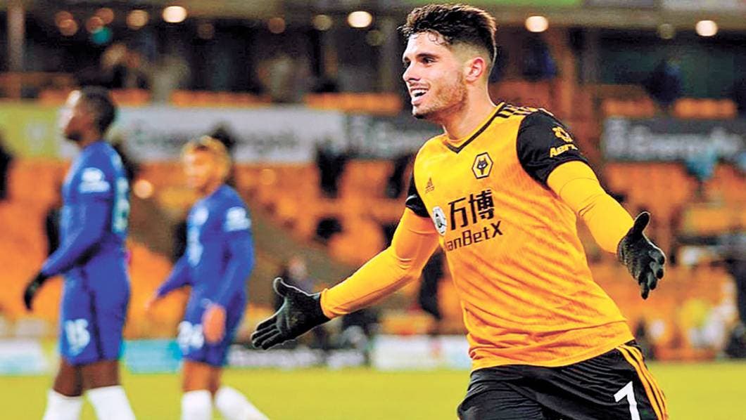 Hunden Wolves a Chelsea