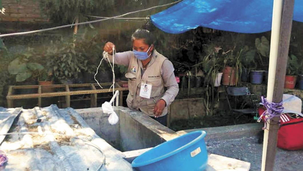 Combaten al mosco del dengue en Tepoztlán