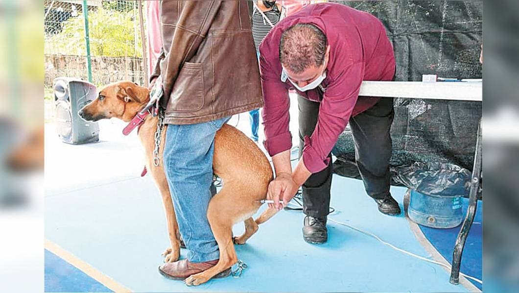 Organizan feria de la salud para mascotas en Cuautla
