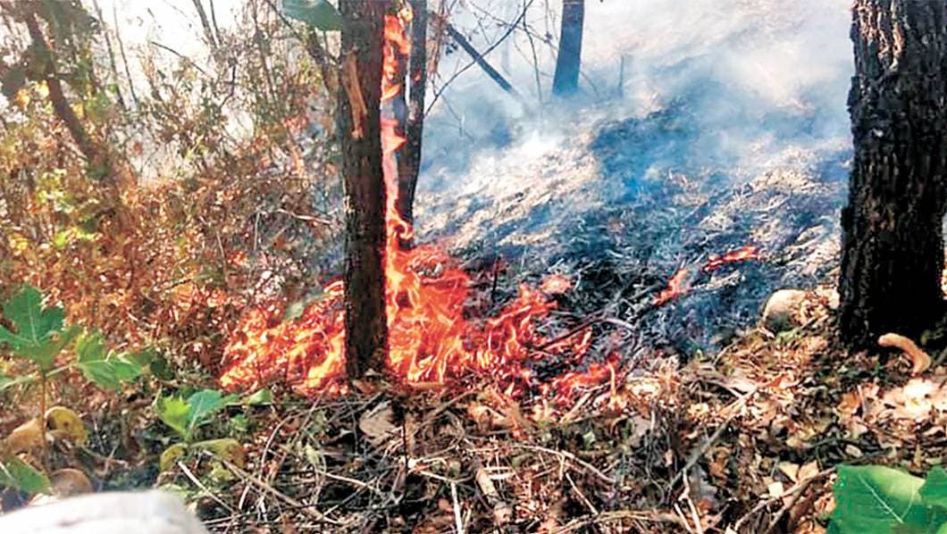 Atacan fuego en Tepoztlán