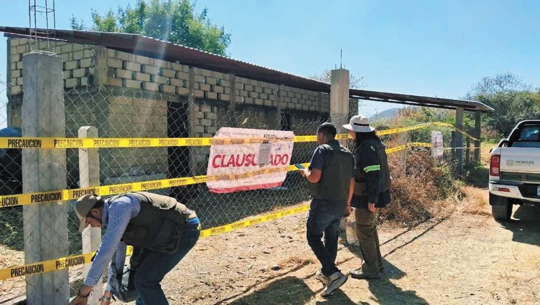 Área Natural Protegida (ANP) del Cerro de la Tortuga, en Zacatepec.