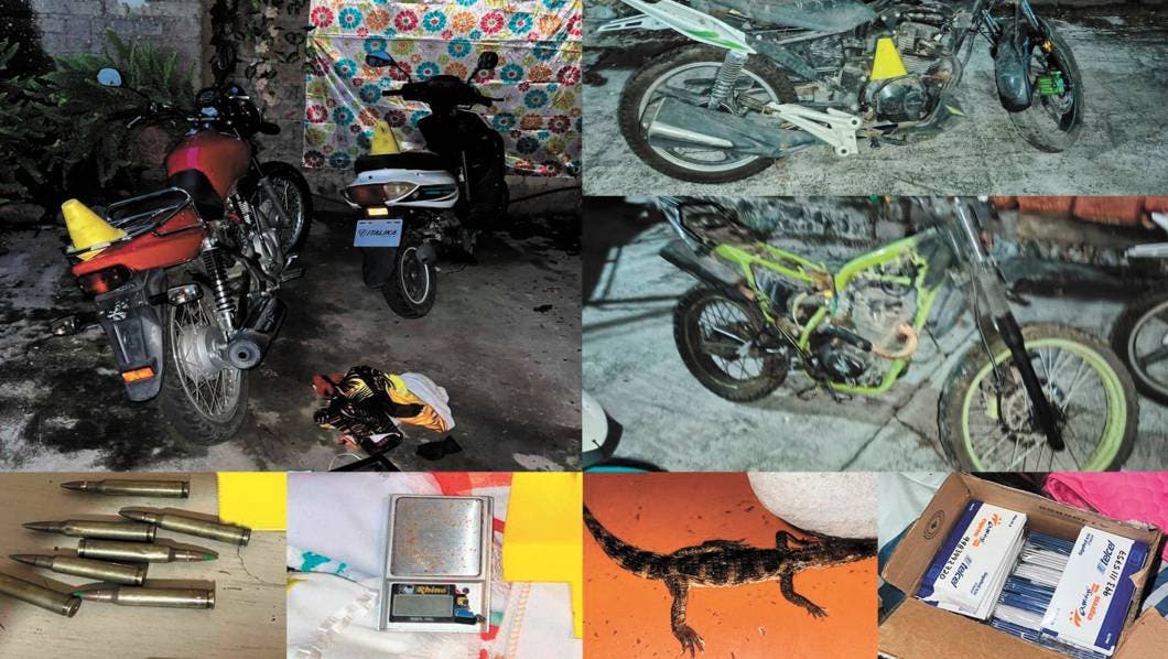 motos y caimanes en cateo