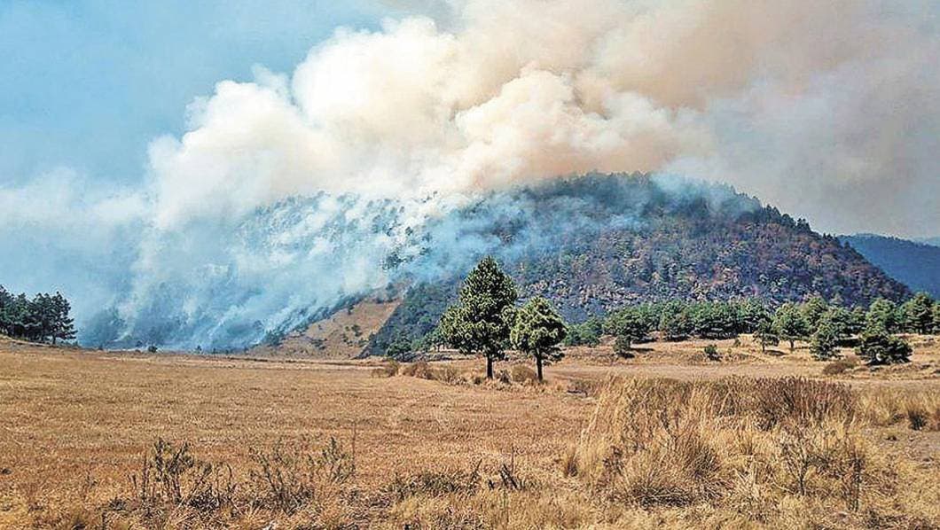 Ecosistemas sufren daños por incendios en Morelos
