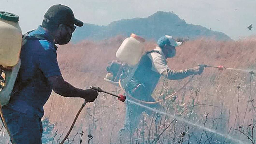 Sube reporte de incendios en Morelos con el inicio del año