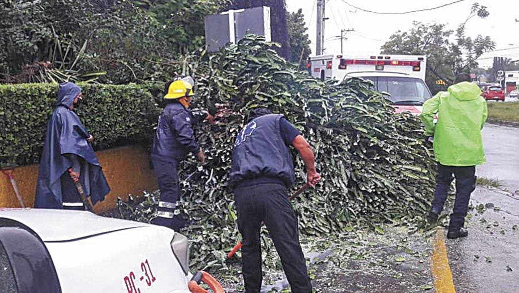 Reporta desastres. Puedes llamar a Protección Civil al teléfono 320-7533, disponible las 24 horas.