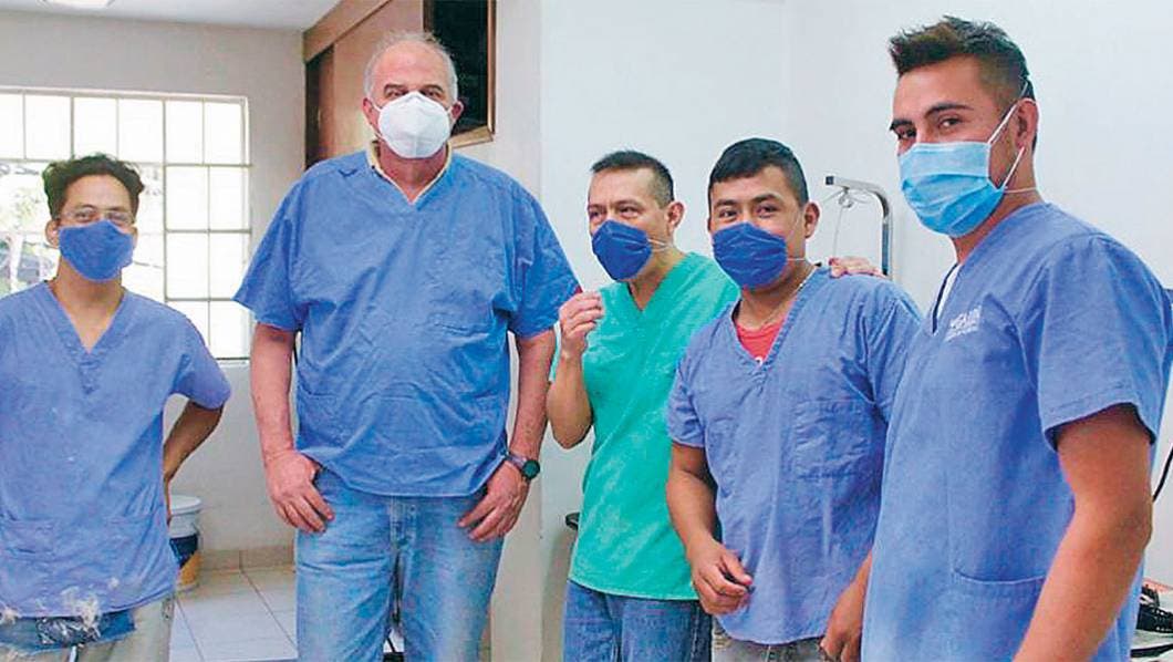 Esterilización evitaría más perros sin hogar