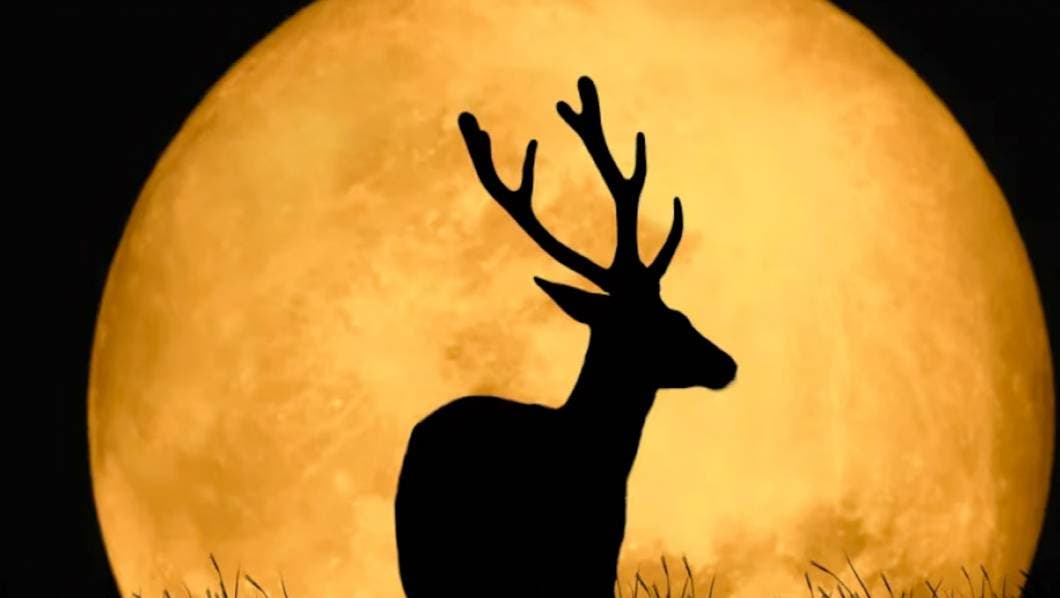 Luna de ciervo