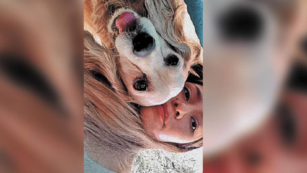 Mascotas: Cómo actuar en desastres naturales