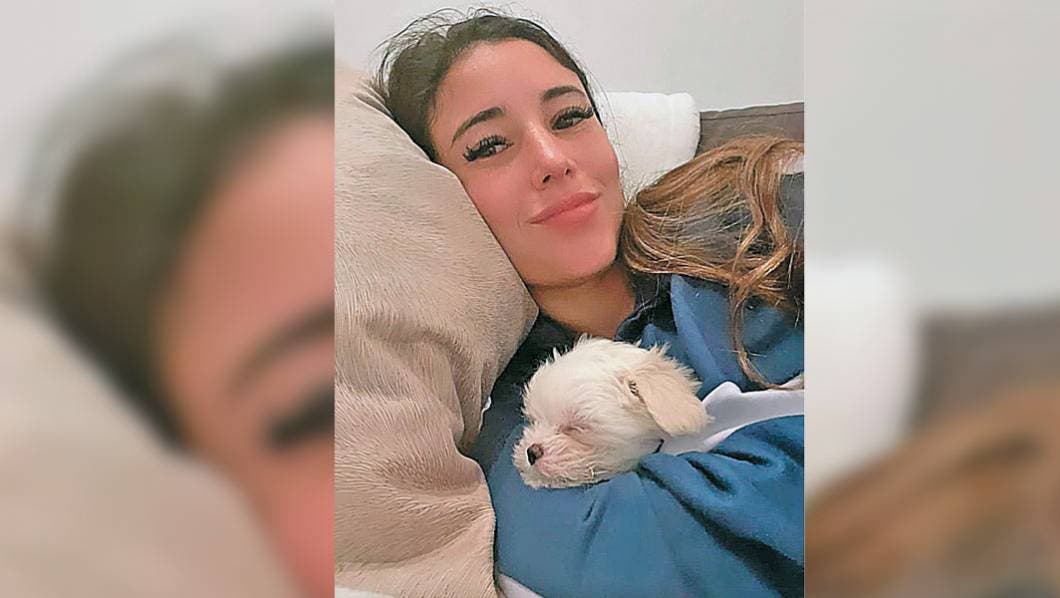 Mi Mascota. ¿Conoces el lenguaje de tu perro?