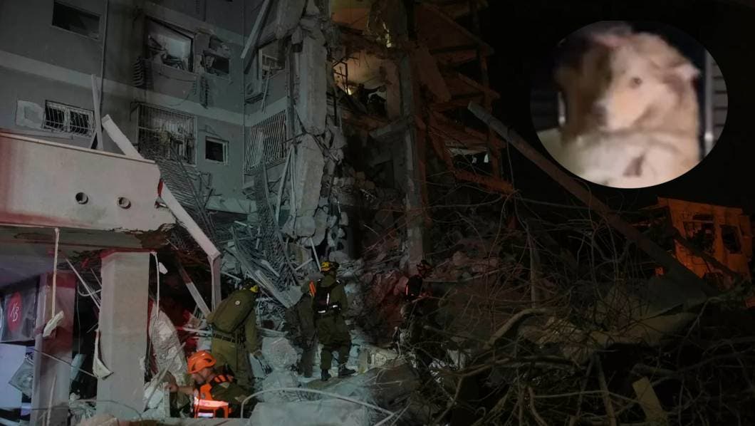 El rescatista es Aviv Sarga, oficial de la policía israelí, quien aparece en el video cargando al perro, aún tembloroso