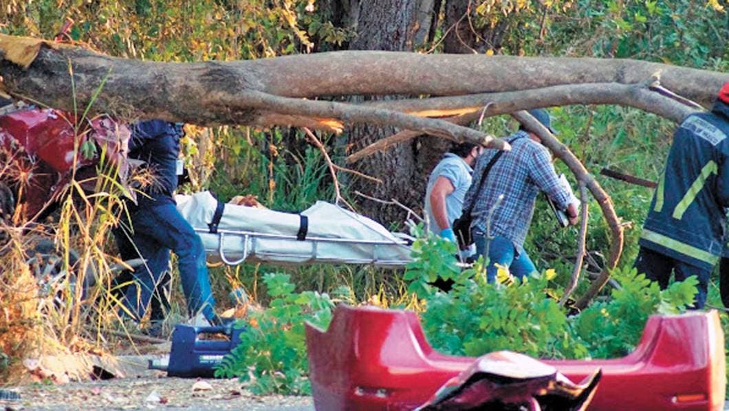 Fallece prensado debajo de árbol en Tequesquitengo