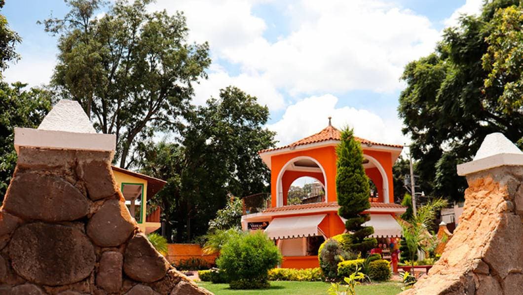 Conoce Morelos: Santa Mar&iacute;a Ahuacatitl&aacute;n y el Bosque de los hongos azules