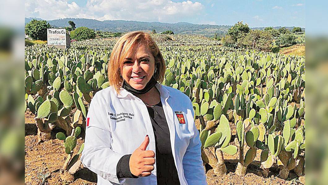 Exhortan en Morelos a brindar actas electrónicas