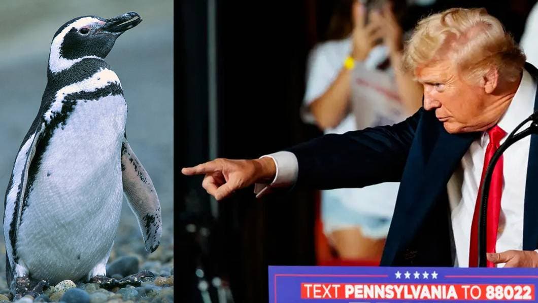 Donald Trump, ha decidido ampliar su guerra comercial a un archipiélago habitado únicamente por pingüinos y focas