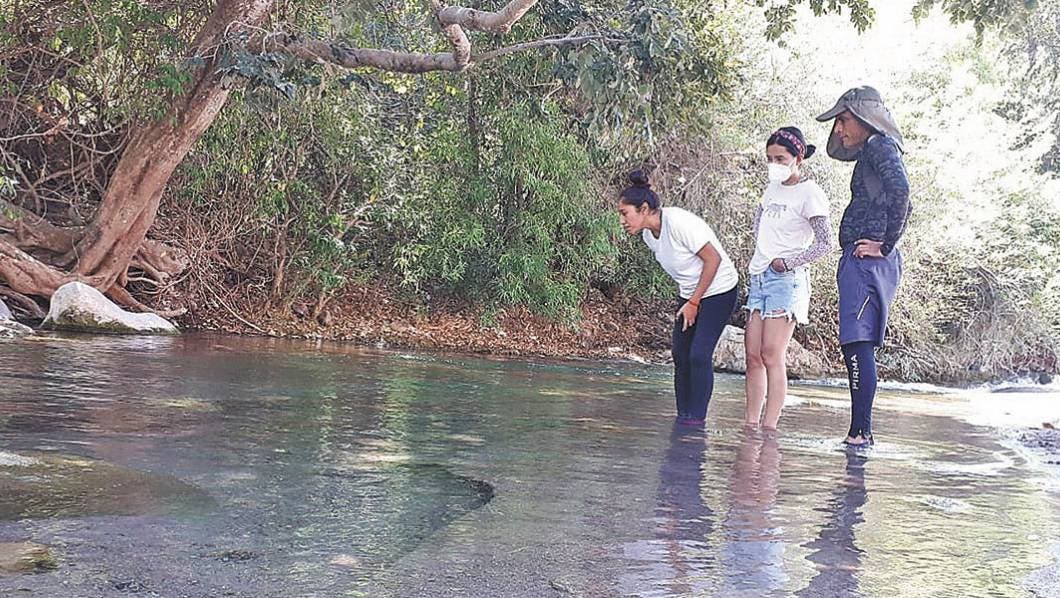 Natural. Buscan que no lleguen especies ajenas a los cuerpos de agua de Morelos.