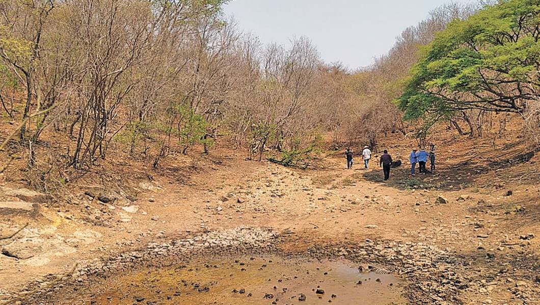 Advierten de un fuerte estiaje en Morelos