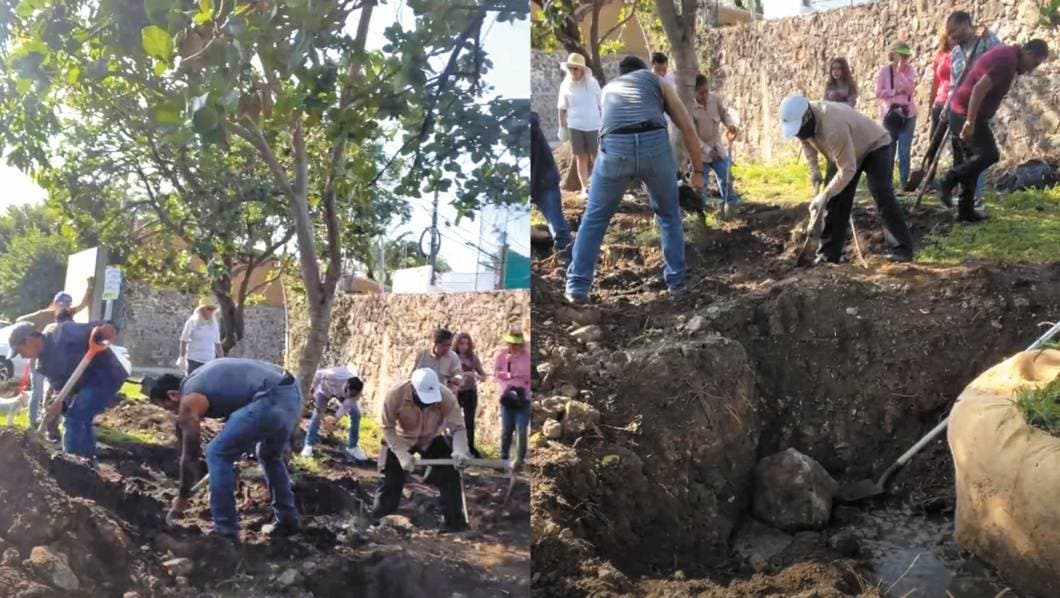 arboles vista hermosa