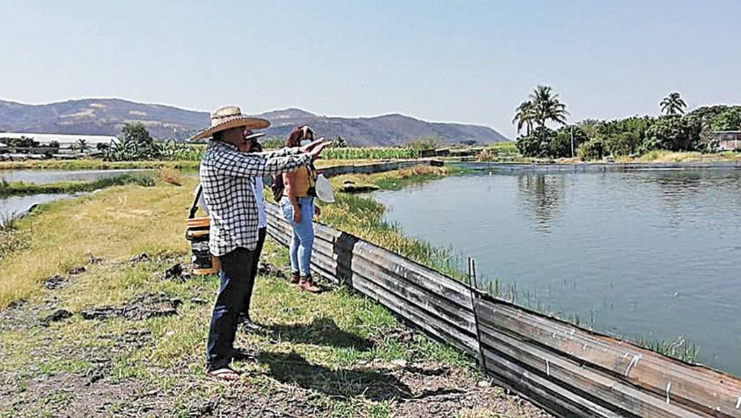 Supervisa Sedagro la calidad del agua en Morelos