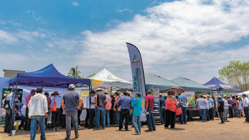 campo, financiamientos