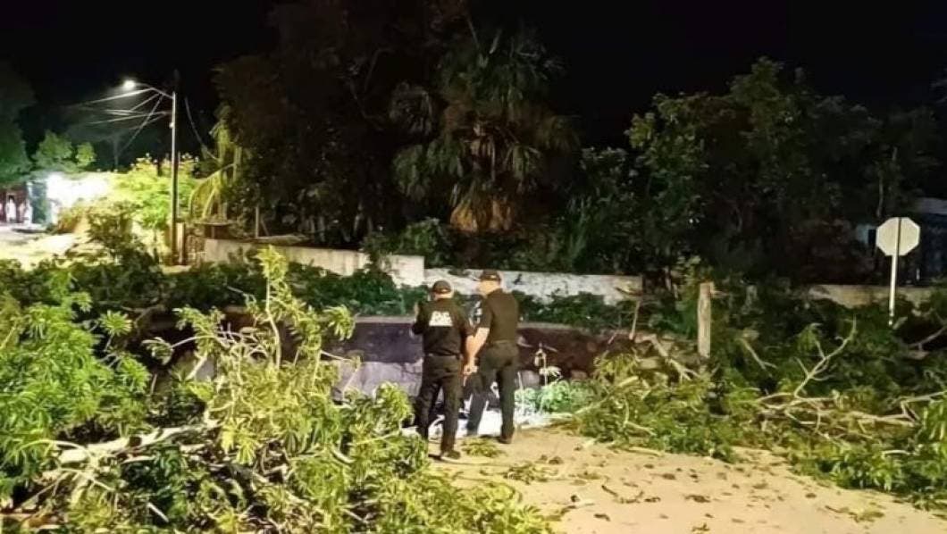 Desplome de bóveda en cenote de Xocén en Yucatán causa socavón de 25 metros y "traga" un árbol 