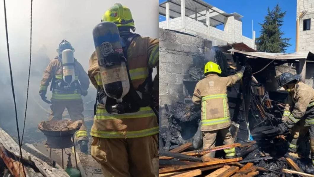 Tragedia en Chiapas: incendio acaba con la vida de 24 perros por intoxicación 