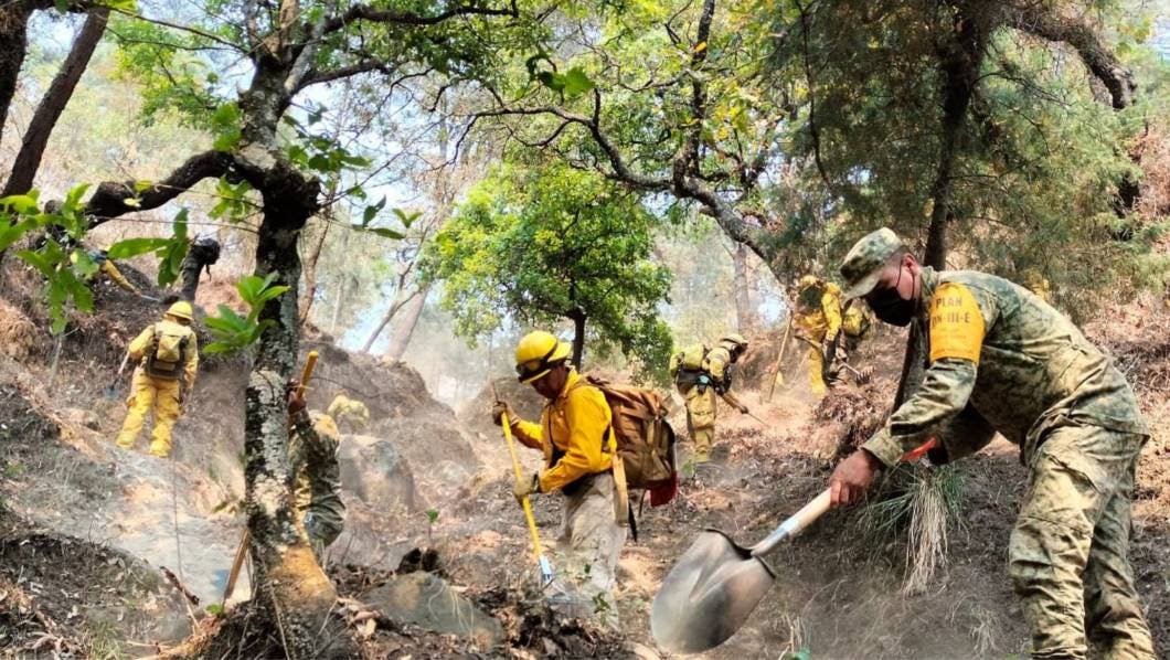 Morelos, combatientes forestales