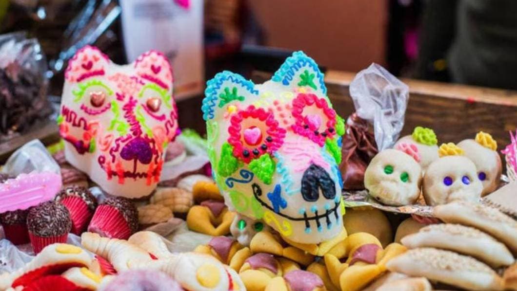 Día de Muertos: ¿Cuándo nos visitan nuestras mascotas fallecidas y cómo prepararnos?