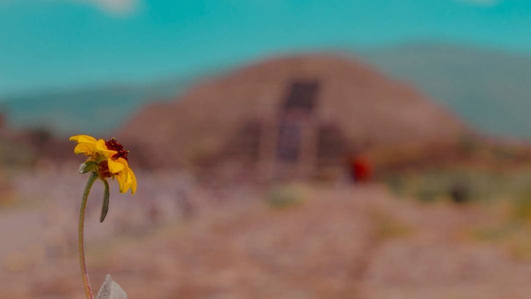 Equinoccio de primavera en México: Horario y significado de este evento astronómico