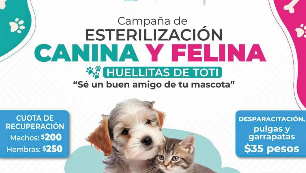 “Huellitas de Toti”