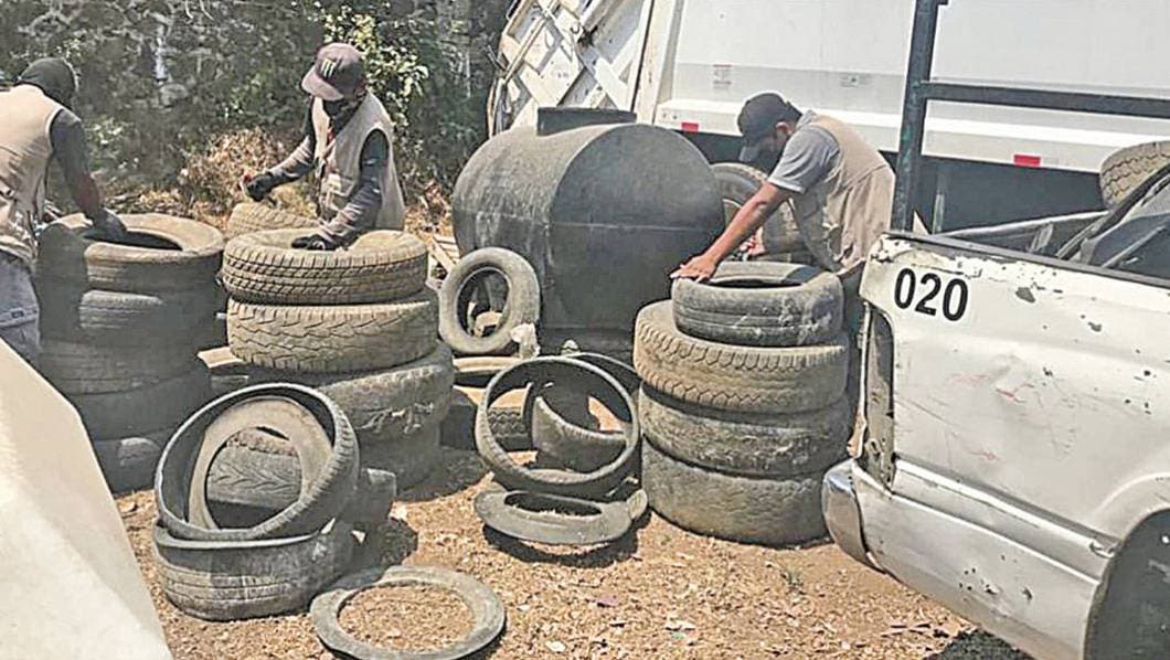 Evitan mosquitos en Tepoztlán