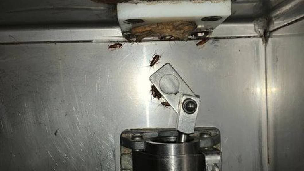 Las fotos son más que elocuentes. Evidencian la poca o nula higiene en la manera en que se almacena el helado, pues es posible ver incluso algunas cucarachas en los despachadores de la máquina.