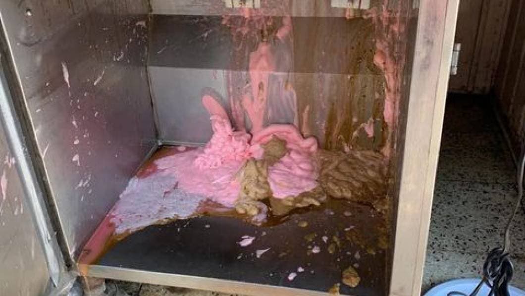 Las fotos son más que elocuentes. Evidencian la poca o nula higiene en la manera en que se almacena el helado, pues es posible ver incluso algunas cucarachas en los despachadores de la máquina.