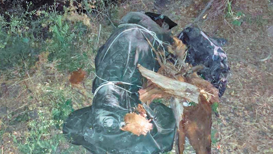 Hallan a un hombre sin vida en Xochitepec