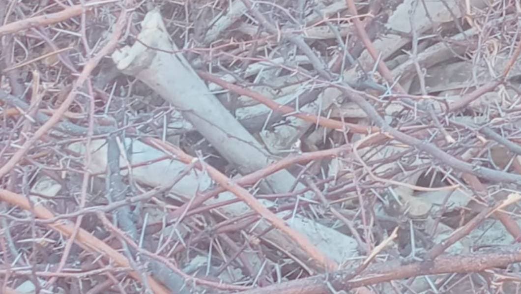 Alarma a vecinos hallazgo de huesos en Zacatepec; al final se supo que eran de caballo